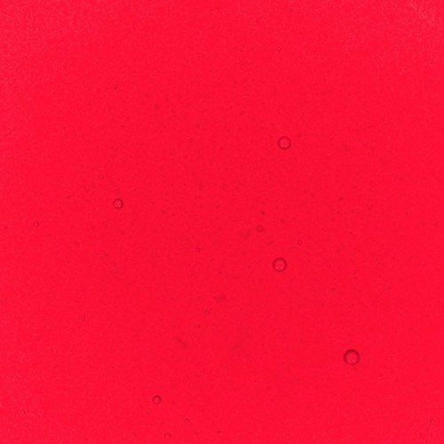 Red Raspberry Food Colouring 30ml